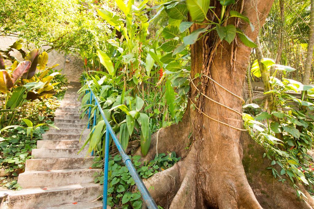 Rio Nature Hostel ריו דה ז'ניירו מראה חיצוני תמונה